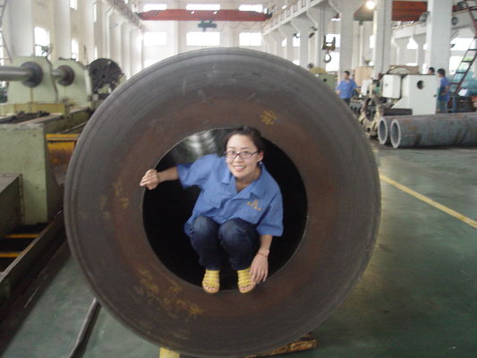 OEM Plane Rapid Gate Large Bore Hydraulic Cylinders Productivity Over 2000t