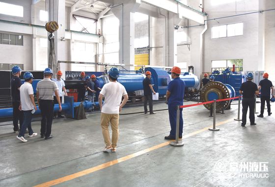 Custom Hydraulic hoist，heavy hydraulic cylinder  for Hydraulic Forging Presses