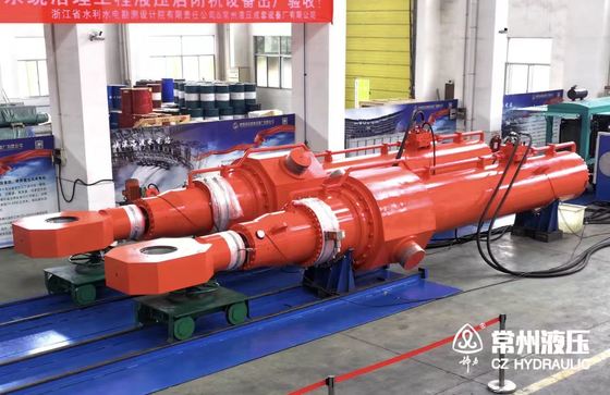 Customized Hydraulic cylinders as your requirements  every industries offshore hydraulic cylinder manufacturer